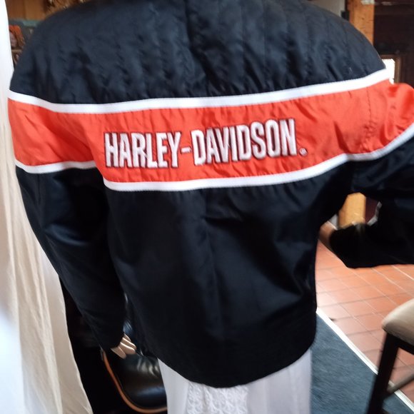 Harley Davidson Racing - Picture 3 of 5